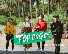 海角直播app《TOP DOG》免费在线观看