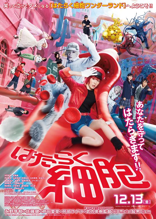 海角直播《工作细胞 真人版 はたらく細胞》免费在线观看