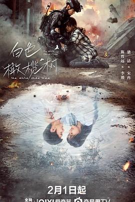 海角破解版《白色橄榄树》免费在线观看