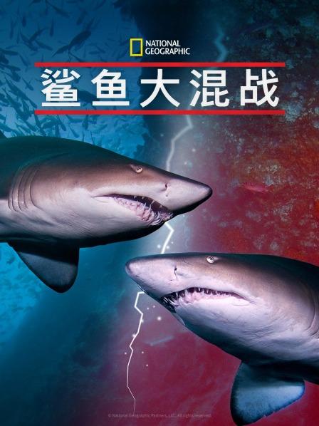 海角直播app《鲨鱼大混战》免费在线观看