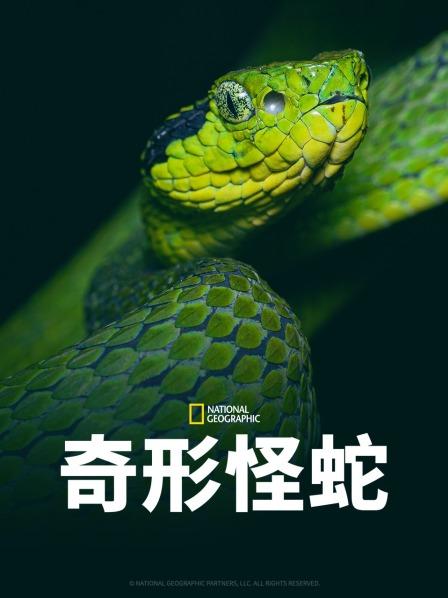 海角破解版《奇形怪蛇》免费在线观看